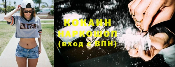 шишки Балабаново