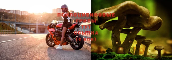 шишки Балабаново
